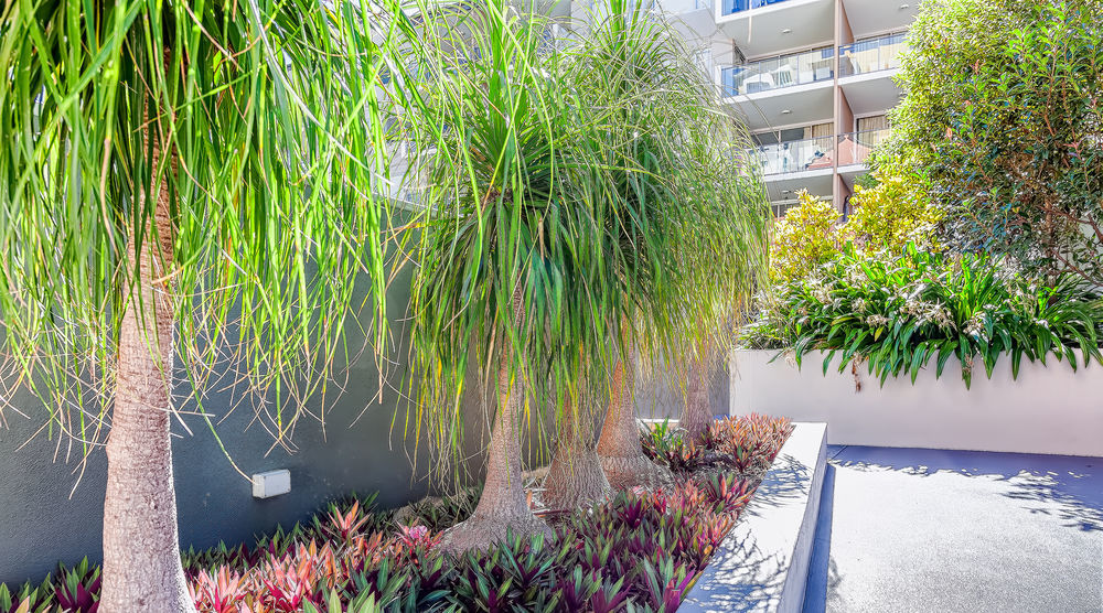 Trilogy Residences Brisbane Luaran gambar